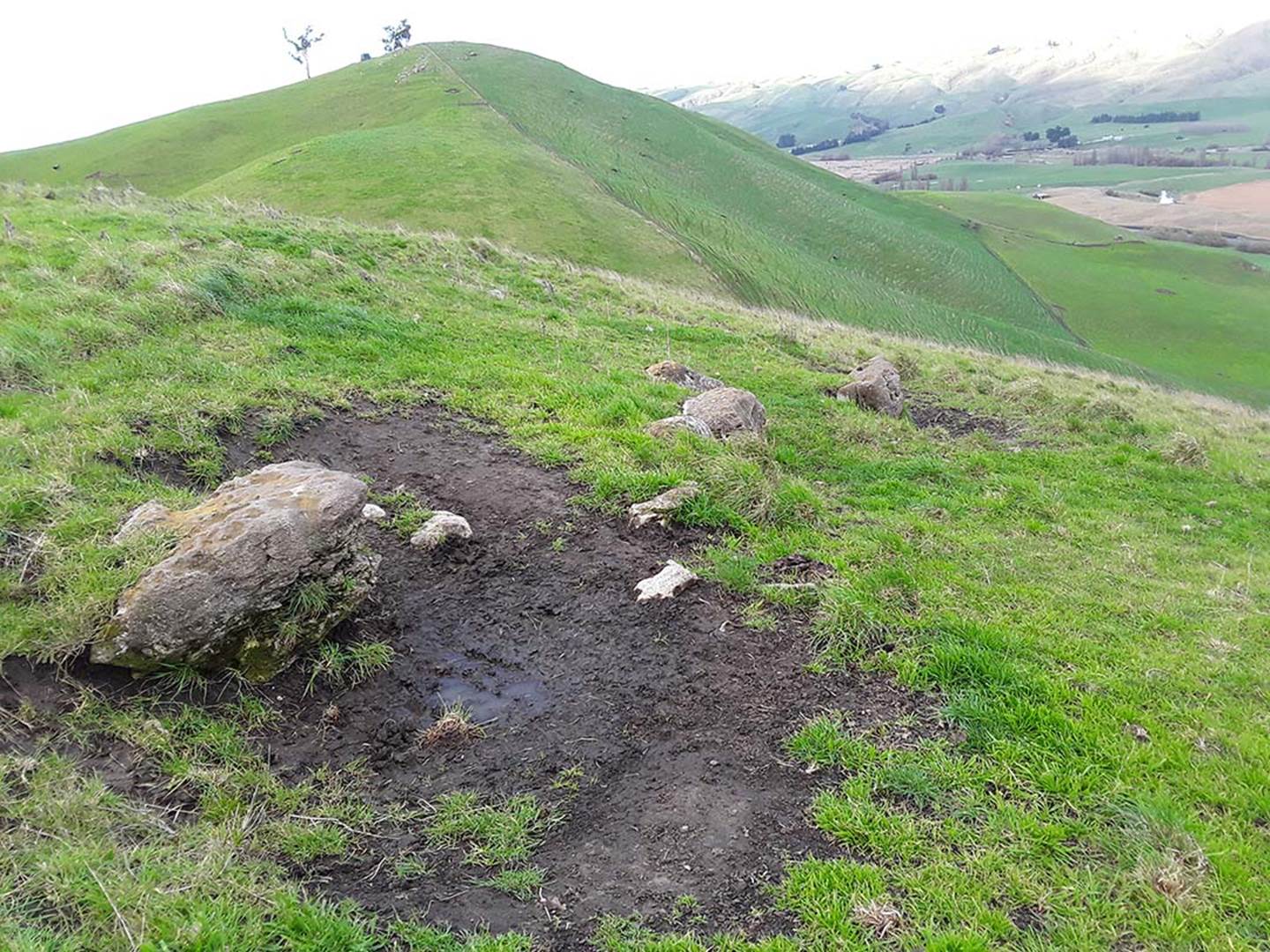 A close up of a hillside next to a green field

Description automatically generated