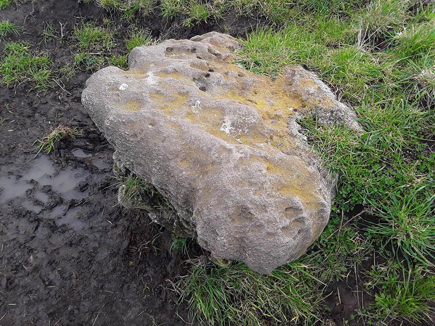 A close up of a rock

Description automatically generated