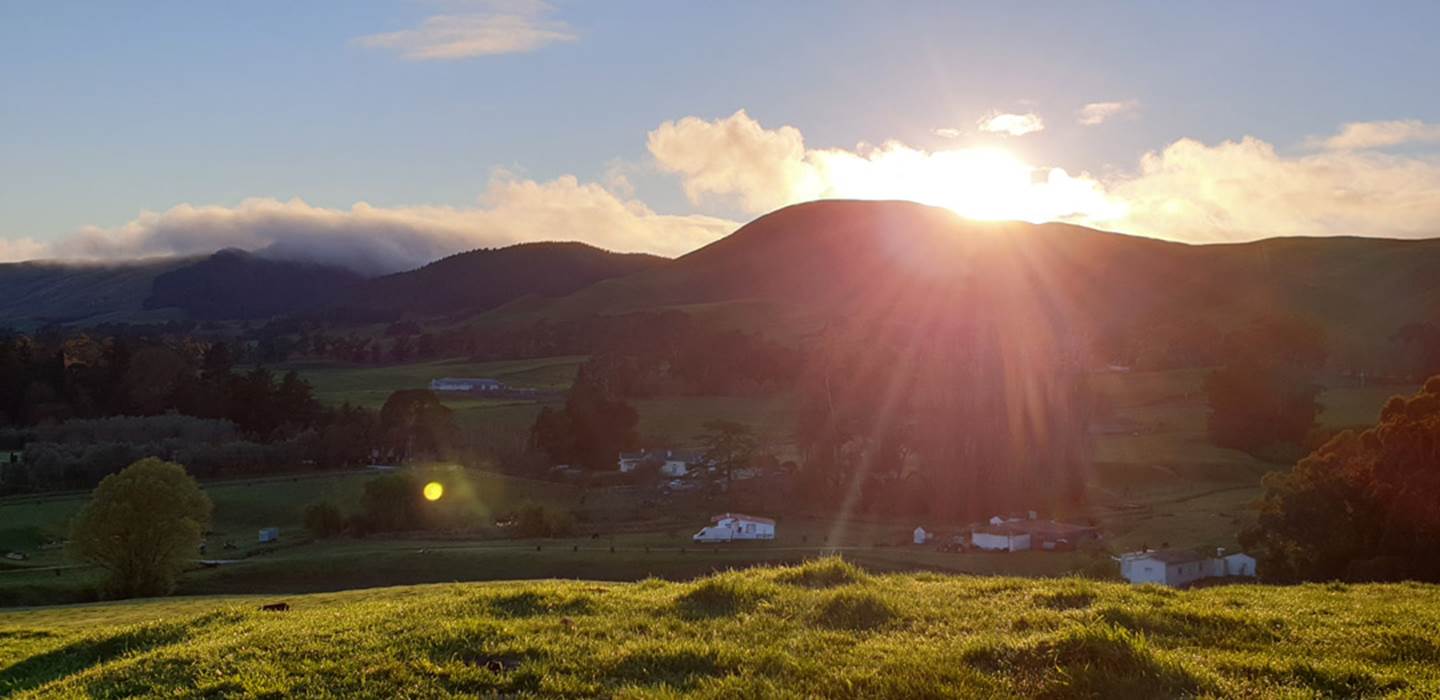 A large green field with a mountain in the background

Description automatically generated