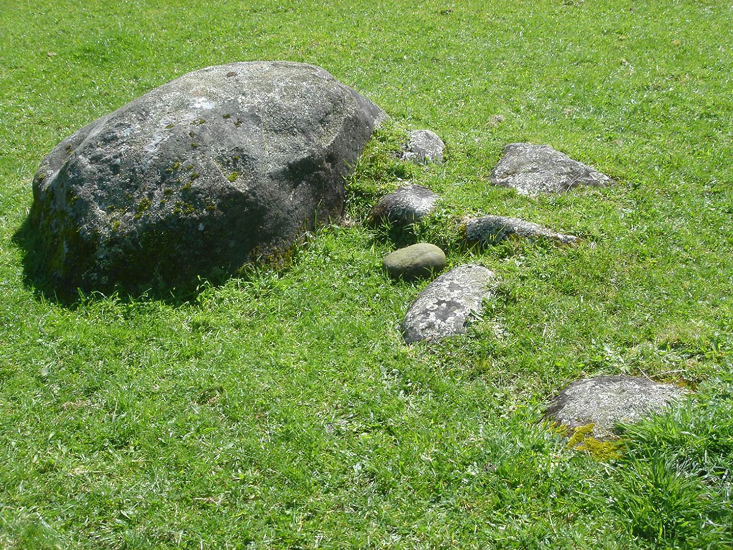 A picture containing grass, outdoor, field, rock  Description automatically generated